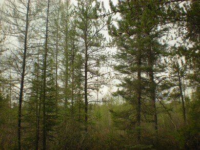 Murphy creek trail 20 and 40 ac parcel 0