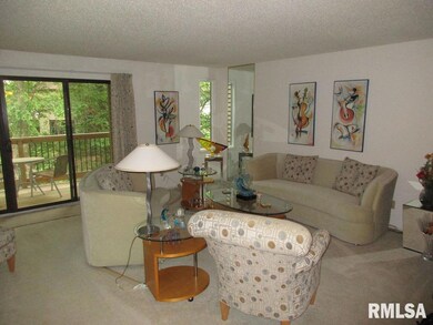 3620 38th St unit 7, Rock Island, IL 61201 - photo 3