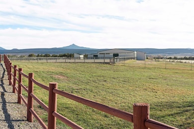 1302 44zn Rd, Norwood, CO 81423 - photo 4