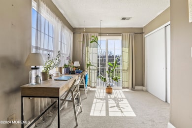 Sunroom / Office