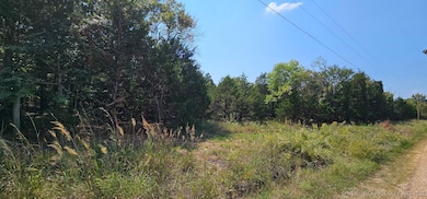 00000 E 994 Rd, Redbird Smith, OK 74435 - photo 3