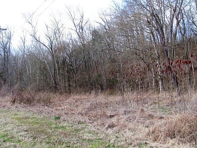 0 Highway 147 unit 2128486, Stewart, TN 37175 - photo 3