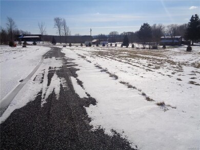 0 Reed Rd unit B1017247, Arcade, NY 14009 - photo 5