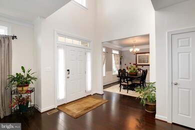 25237 Barley Grass Square, Aldie, VA 20105 - photo 3