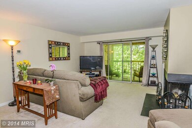 5827 Cove Landing Rd unit 302, Burke, VA 22015 - photo 5