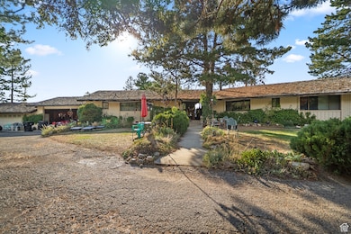 View of ranch-style home