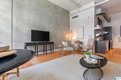 2226 1st Ave S unit 202, Birmingham, AL 35233 - photo 7