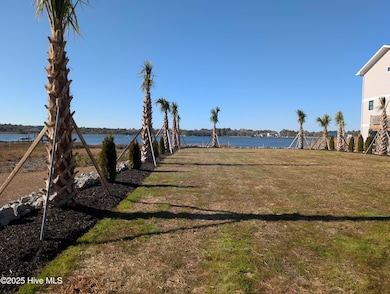 171 Big Hammock Point Picture 2