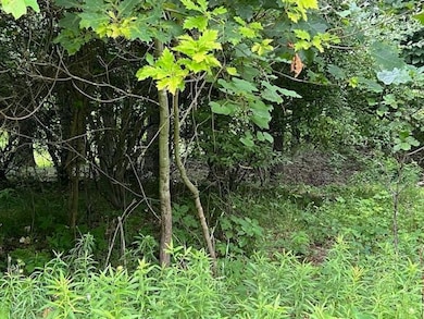 0000 Oak Ridge Hills unit 7, Marshall Township, MI 49068 - photo 6