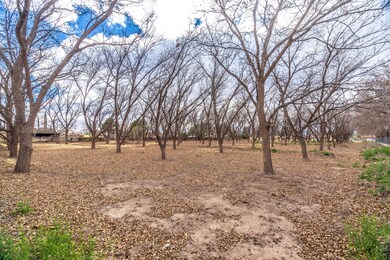 300 Riverside Dr, El Paso, TX 79915 - photo 5