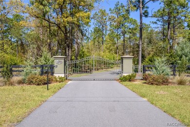 2993 E Withlacoochee Trail, Dunnellon, FL 34434 - photo 2