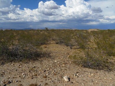21320 W Vista Royale Dr unit 3, Wickenburg, AZ 85390 - photo 2