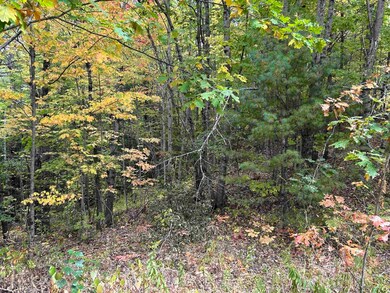 NH New Hampshire Route 175, Thornton, NH 03223 - photo 6