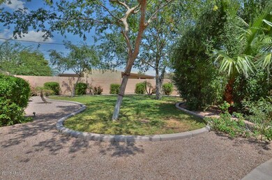 Back yard