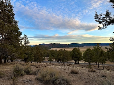 0 Murrelet unit Lot 1192 220174096, Klamath Falls, OR 97601 - photo 2