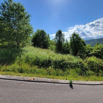 74 Hardin Rd, Dunlap, TN 37327 - photo 4