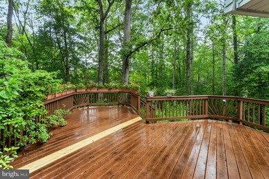 37 Hope Rd, Stafford, VA 22554 - photo 5