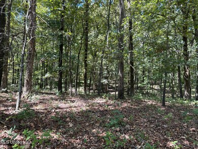 1855 Hunters Chapel Rd 3