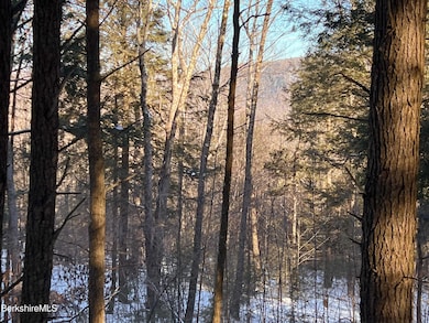 8 Hemlock Rd, Tyringham, MA 01264 - photo 2