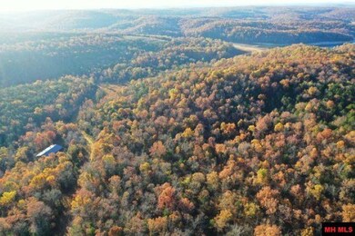 002-04087-000 Chappie Ln, Henderson, AR 72544 - photo 4