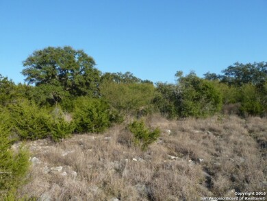 23411 Wilderness Cove, San Antonio, TX 78261 - photo 3