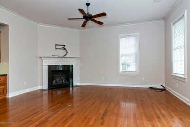 Fireplace and natural light