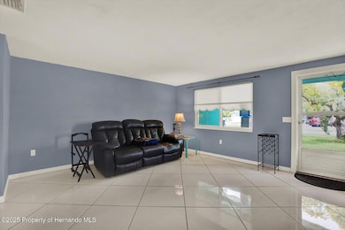 13332 Lisa Dr, Hudson, FL 34667 - photo 2