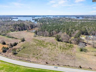 0 Amicks Ferry Rd, Chapin, SC 29036 - photo 7