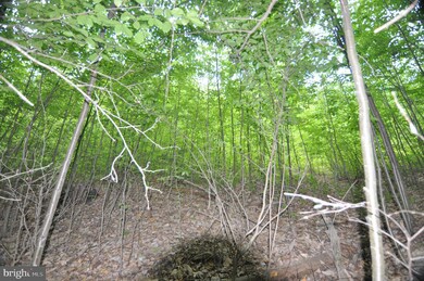 00 Pennsylvania 61, Ashland, PA - photo 6