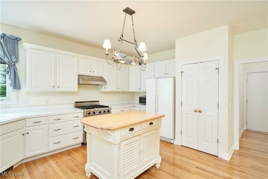 Kitchen with freestanding refrigerator, decorative light fixtures, under cabinet range hood, wooden counters, and light wood-style flooring
