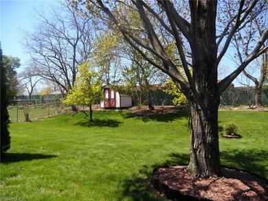 Beautiful lush green yard with shed.