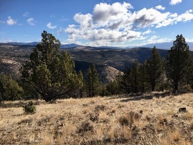 0 Shop Gulch unit 220111419, Mount Vernon, OR 97865 - photo 4