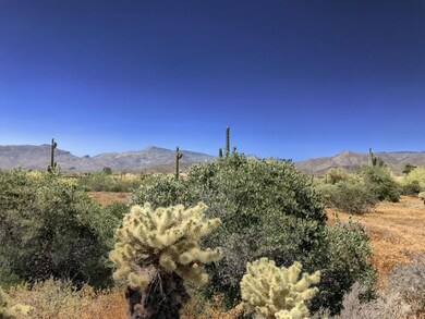 North View to Elephant Butte