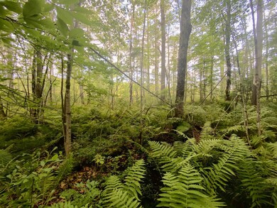 685 County Route 25, Corinth, NY 12822 - photo 7