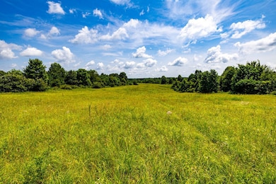 0 Scenic Ln unit LotWP001 24246943, Horse Branch, KY 42349 - photo 3