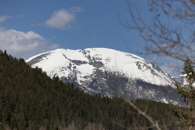 Buffalo Mountain, iconic is Summit County