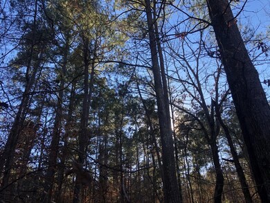 0 Highway 160 unit 21090372, Plain Dealing, LA 71064 - photo 2