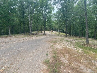 15905 Cow Face Rd, Lowell, AR 72745 - photo 3