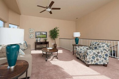 Family Room / Great Room
