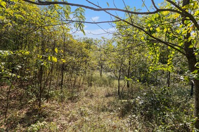 005_yawger_rd_bedford_charter_township_m