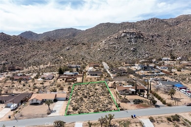 61100 Sandalwood Trail, Joshua Tree, CA 92252 - photo 3