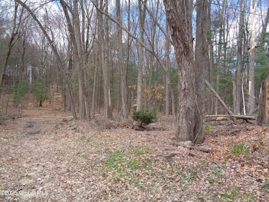 L17.12 Helderberg Ave, Rotterdam, NY 12306 - photo 2