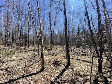 0 Mace Rd, Newbury, VT 05081 - photo 7