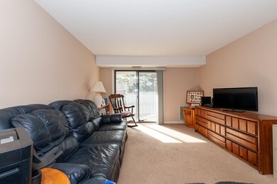 3 Roedean Dr unit UC206, Nashua, NH 03063 - photo 3