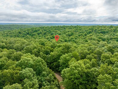 00 Red Fox Rd, Hardy, AR 72542 - photo 6