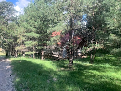 55 Ponderosa Pines Trail, Cloudcroft, NM 88317 - photo 2