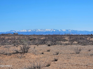 LOT 169 Chiricahua Trail Ranches Pione -- unit 169, Willcox, AZ 85643 - photo 3