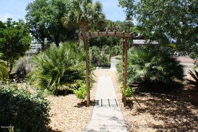 2-Back yard