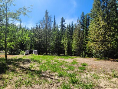 Level Camping site