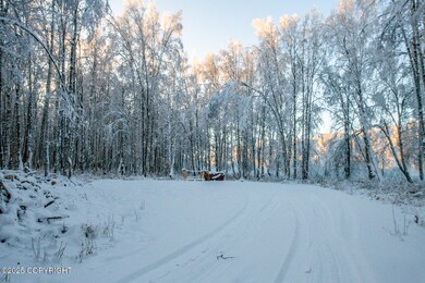 49246 S Hunter Dr, Willow, AK 99688 - photo 7